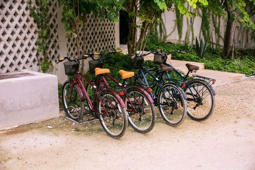 Alea Tulum