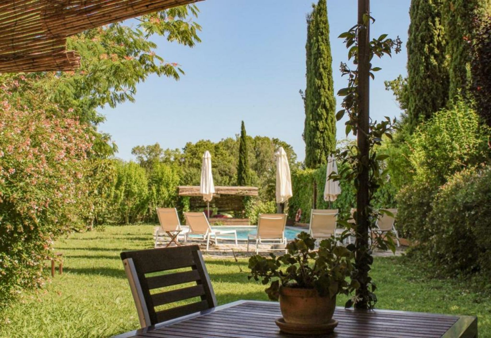 La Lolita ( Adults Only )