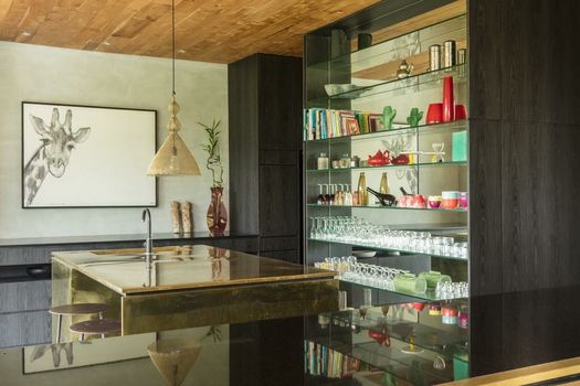 Villa Chameleon