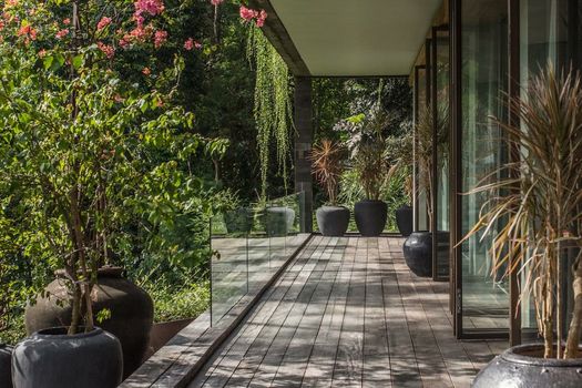 Villa Chameleon