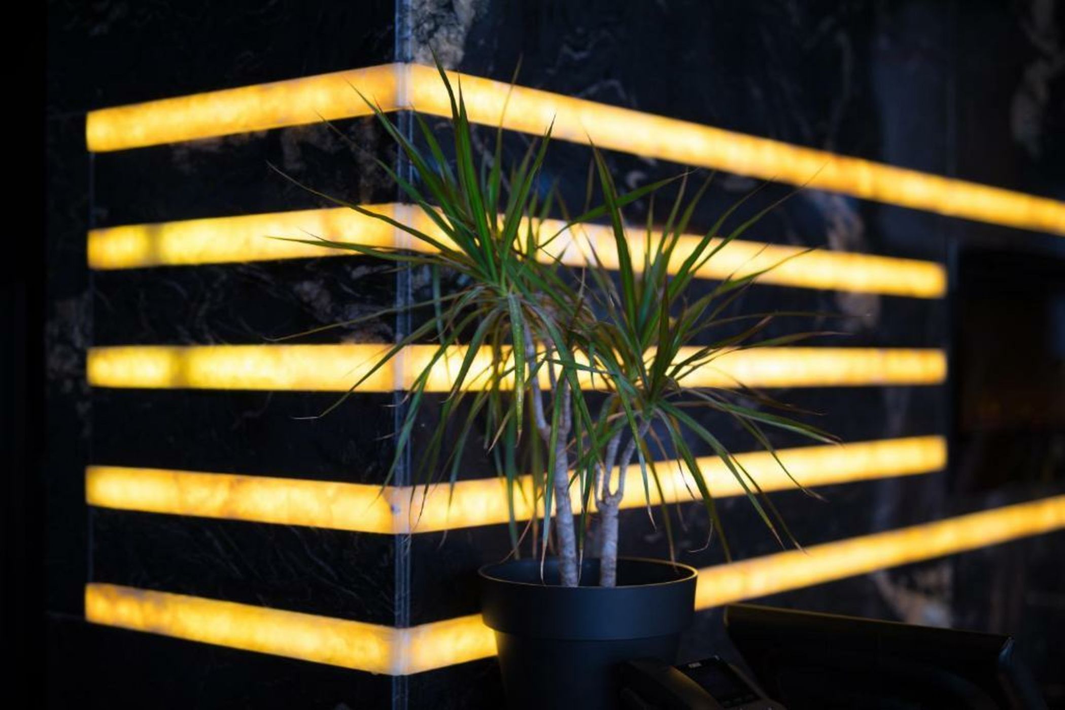 H Hotel & SPA - Adults Only