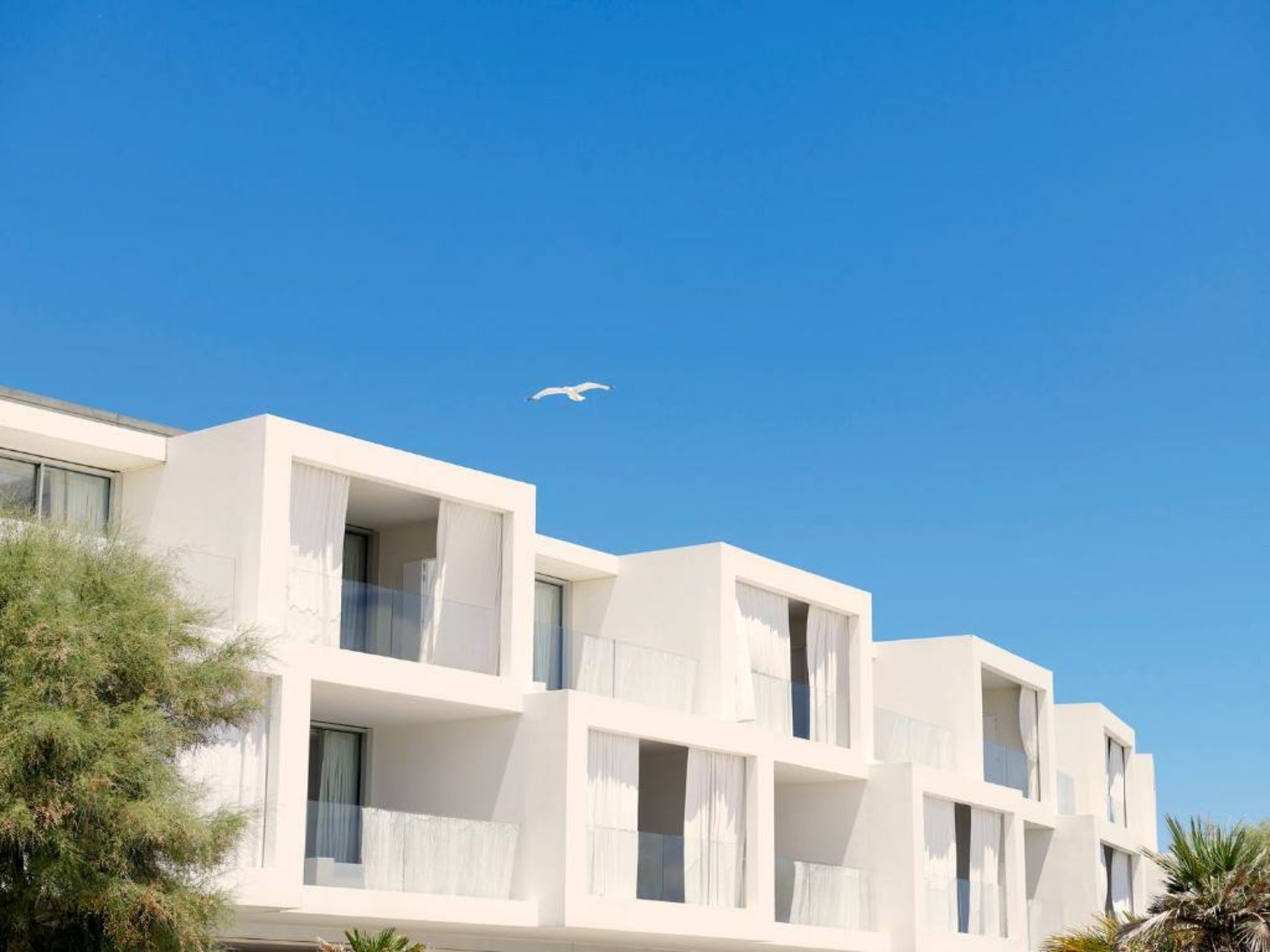 Hôtel Plage Palace & Spa