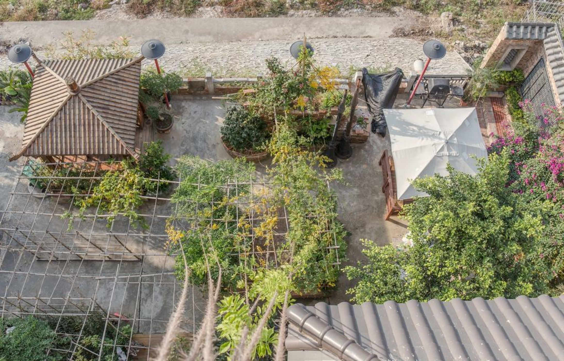 Zen Tea House Seven Stars Park