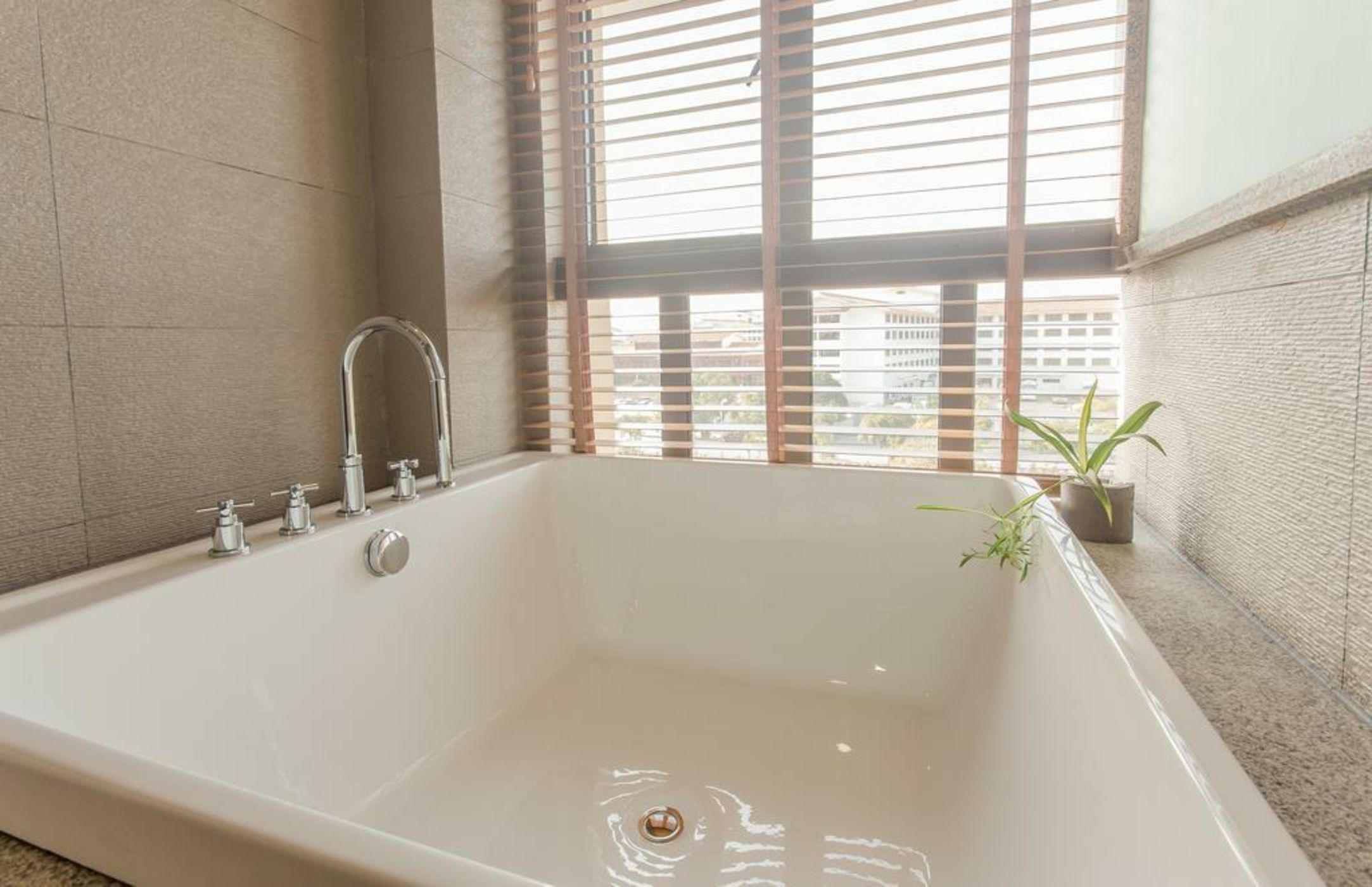 Zen Tea House Seven Stars Park