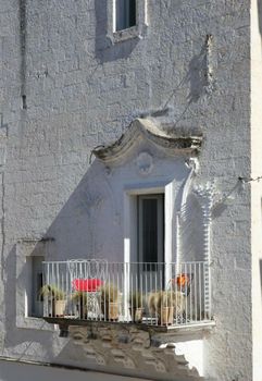 Palazzina Alchimia