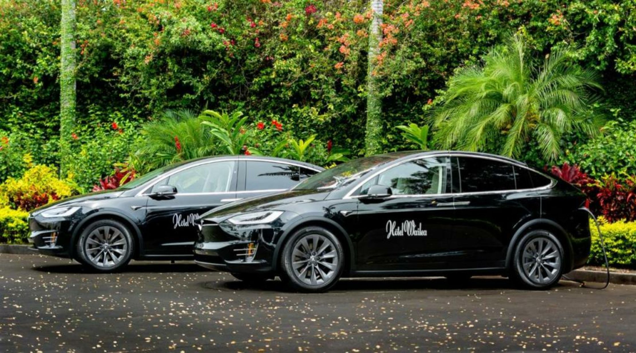 Hotel Wailea, Relais & Châteaux - Adults Only