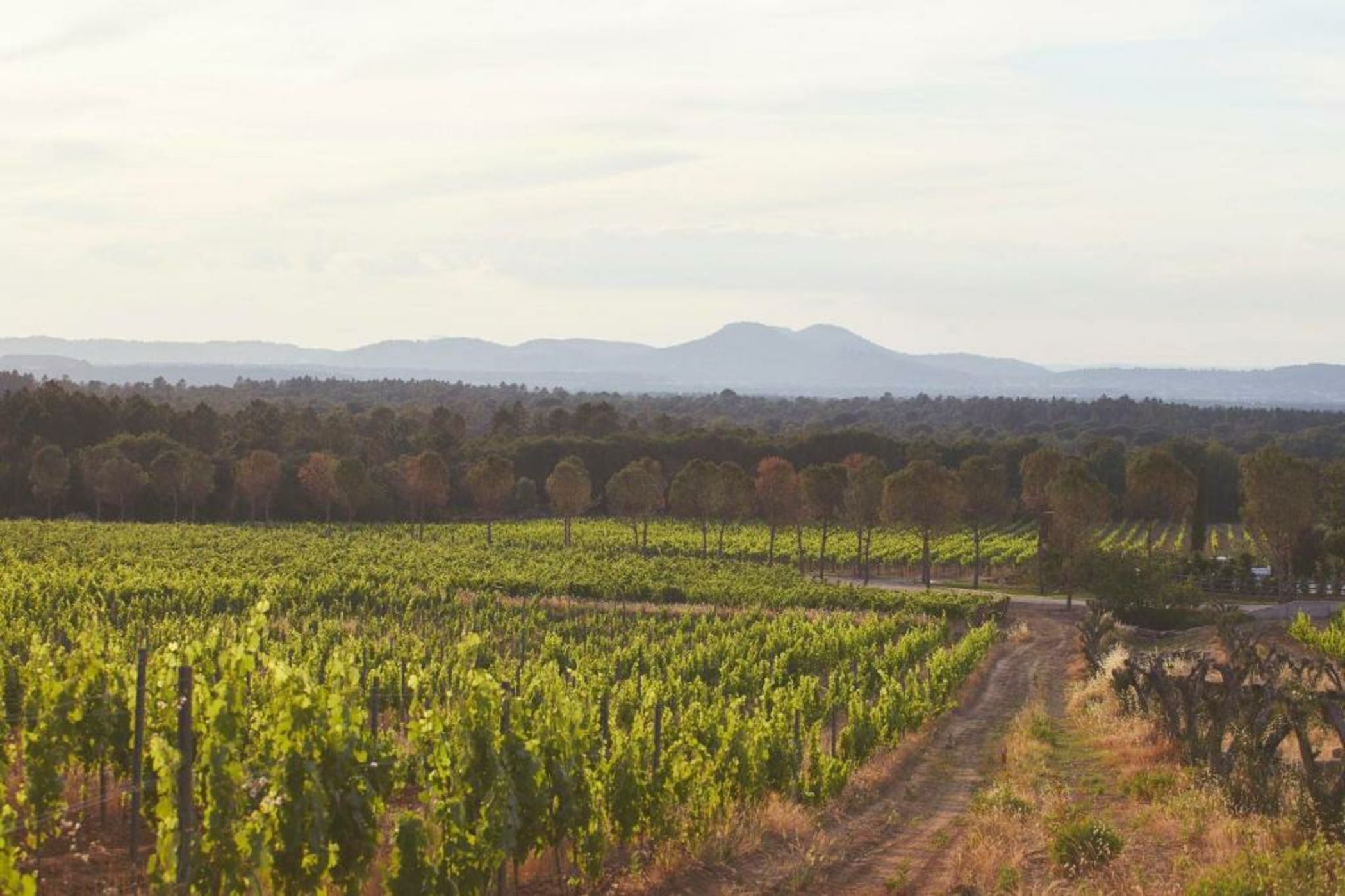 Ultimate Provence- Domaine Viticole & Spa