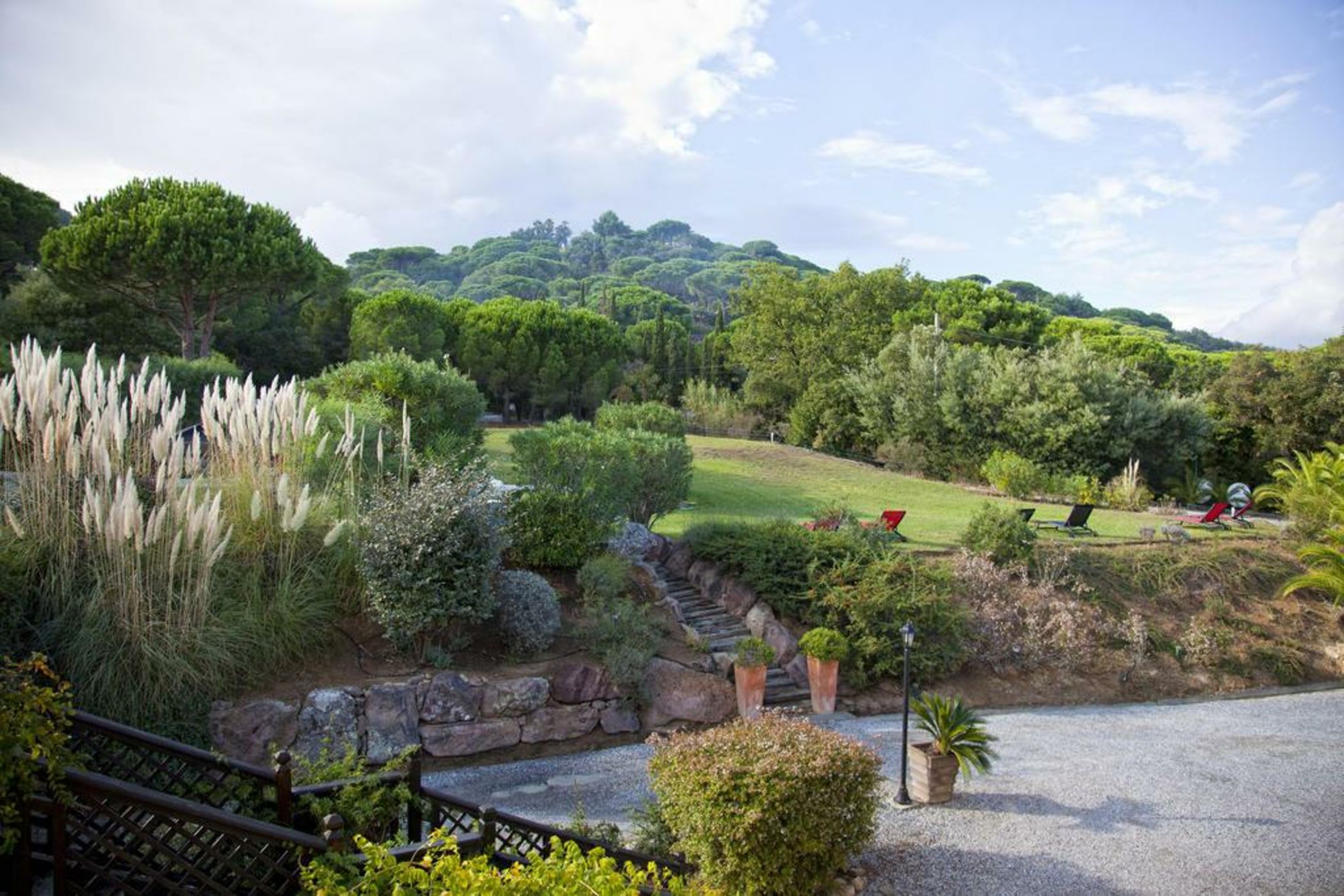 La Vigne de Ramatuelle