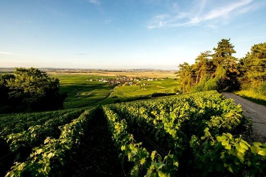 Chateau de Sacy