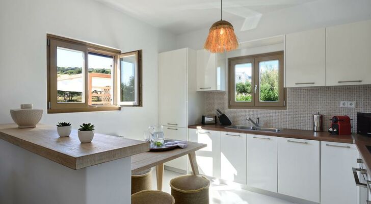 Amalgam Homes Paros