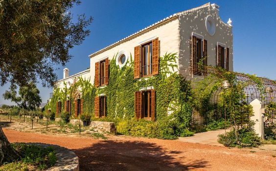 Cortijo LA Organic