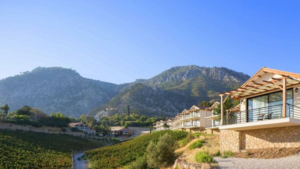 Gillham Luxury Boutique & Vineyard