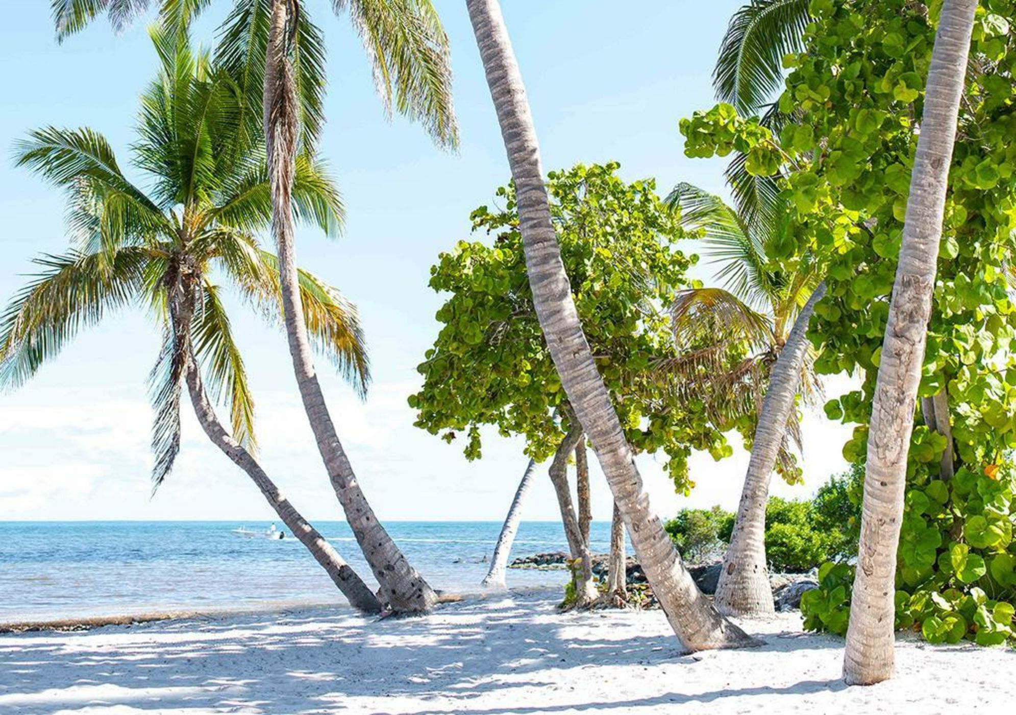 Parrot Key Hotel & Villas