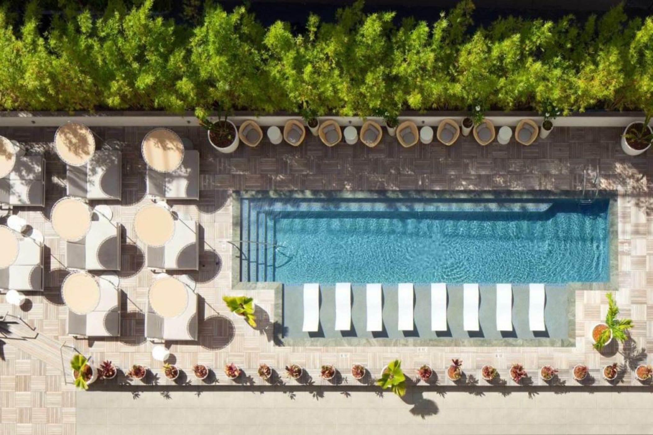 The Laylow, Autograph Collection