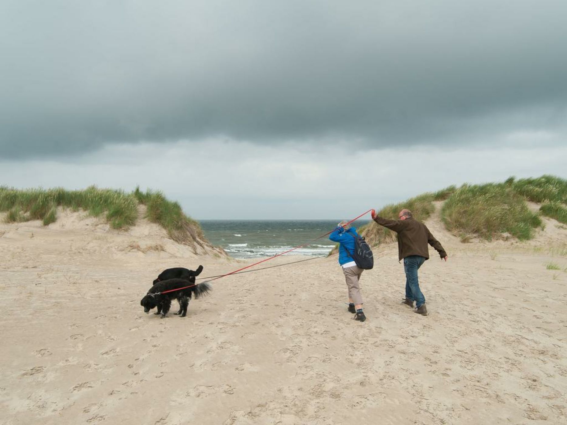 Sea Lodges Ameland 7