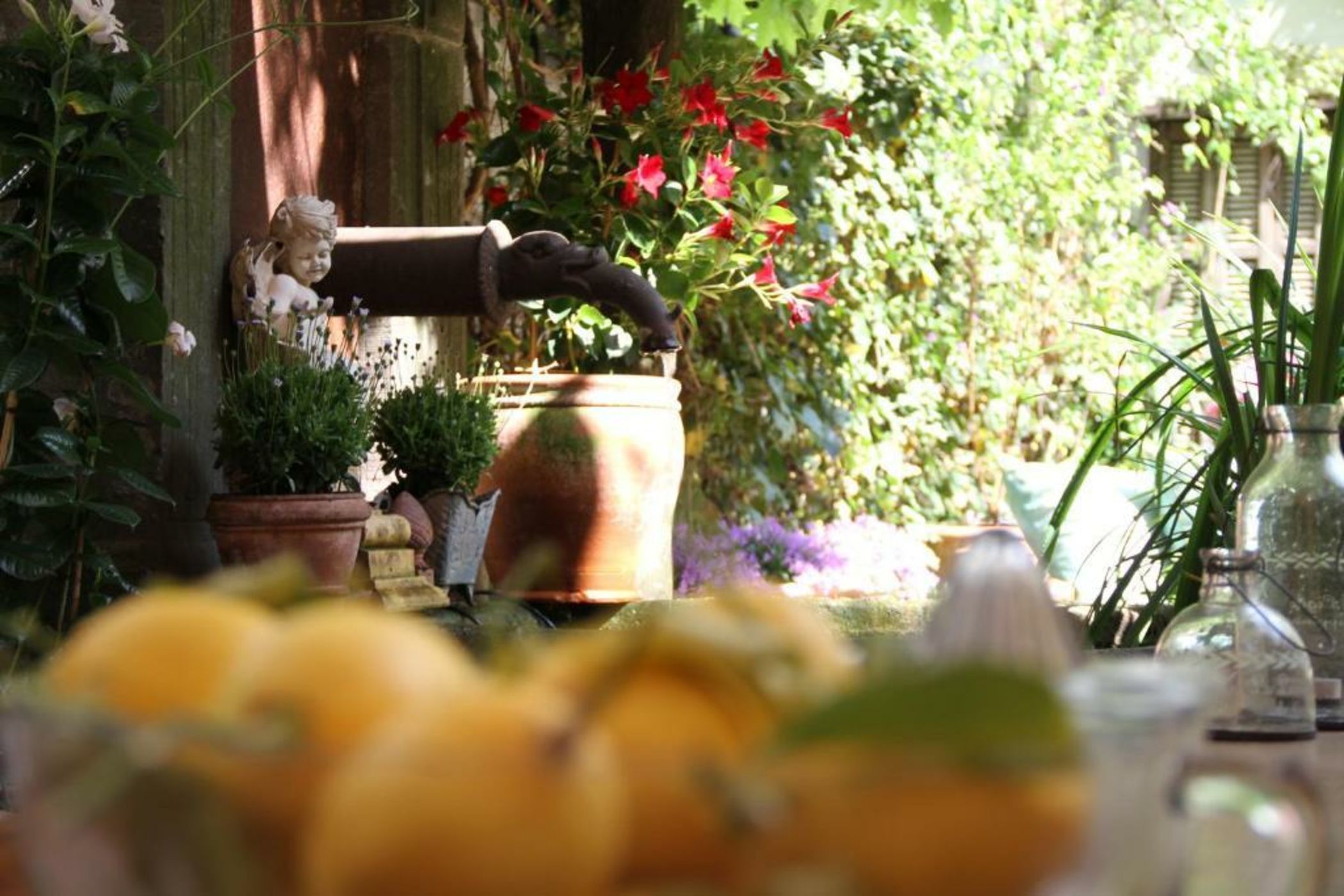 Ackselhaus & Blue Home