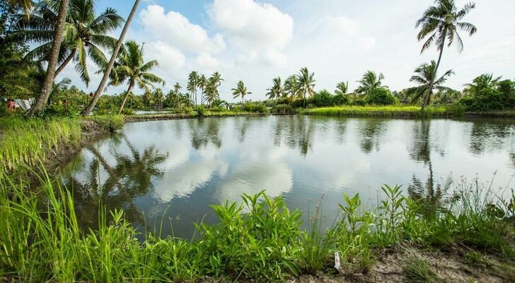 Kayal Island Retreat