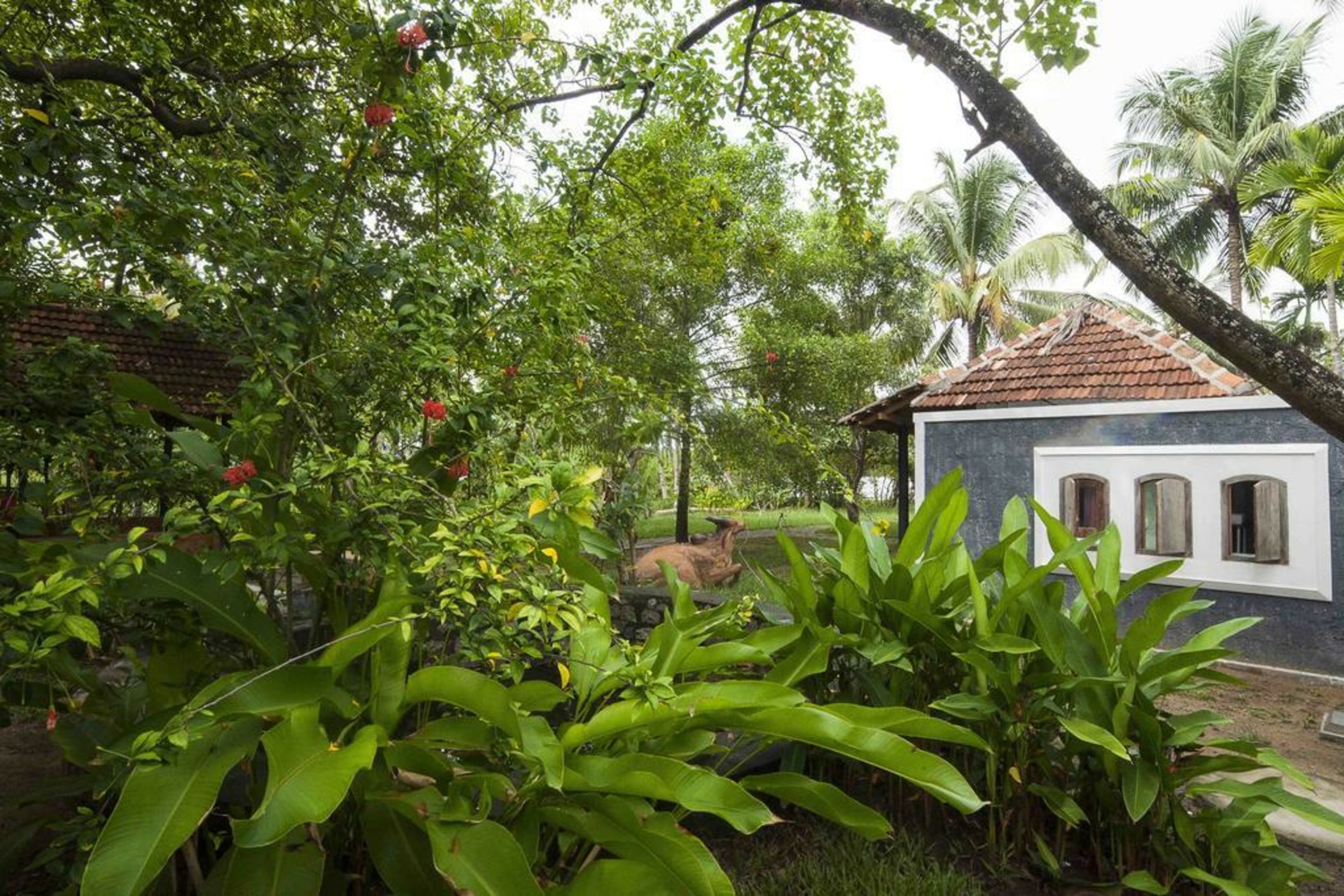 Kayal Island Retreat