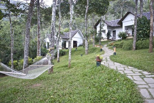 Niraamaya Retreats Cardamom Club