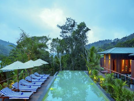 Niraamaya Retreats Cardamom Club