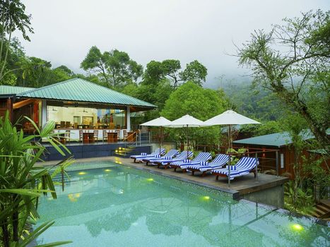 Niraamaya Retreats Cardamom Club