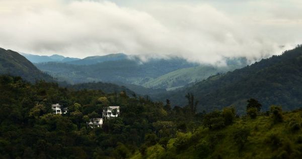 Hills & Hues
