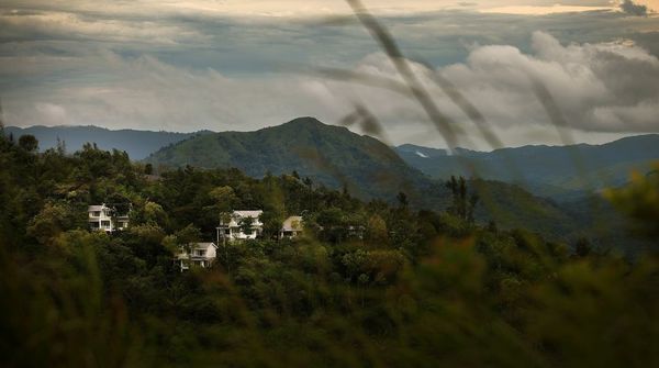 Hills & Hues
