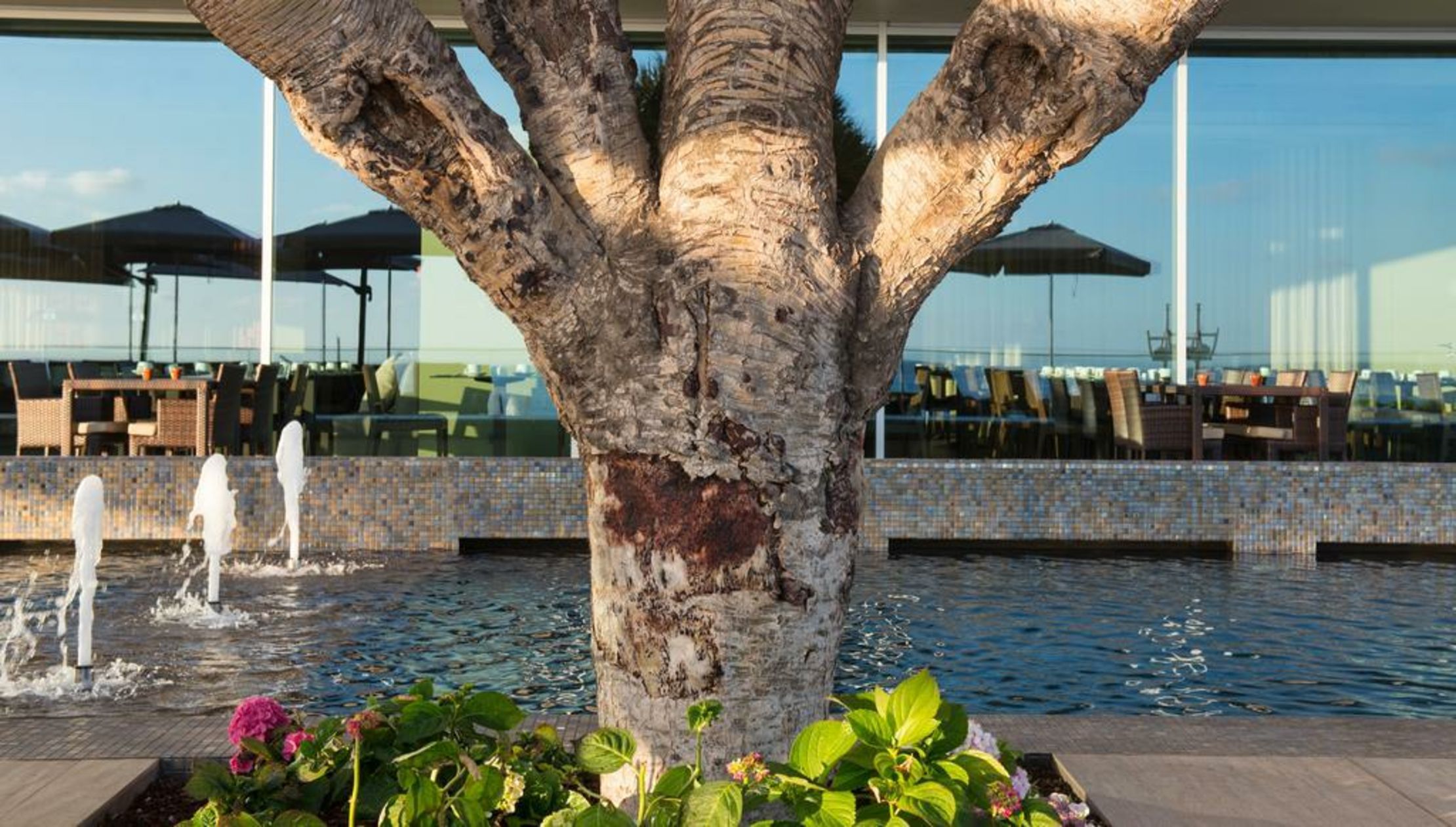 Saccharum - Resort & Spa - Savoy Signature