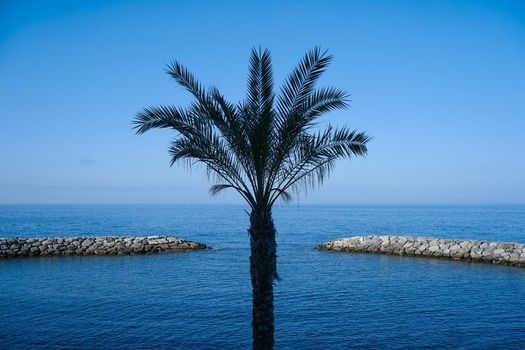 Saccharum - Resort & Spa - Savoy Signature