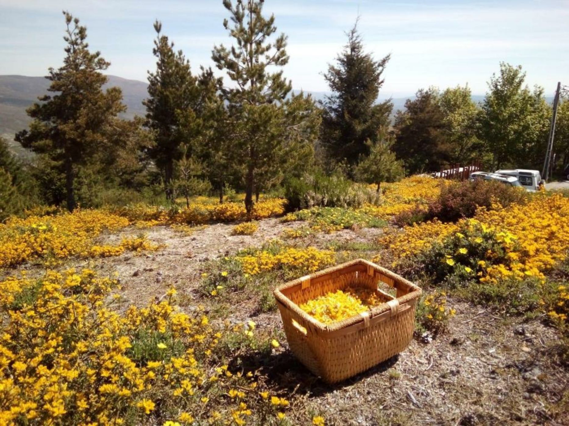 Casa das Penhas Douradas - Burel Mountain Hotels