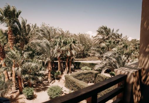 Cook’s Club El Gouna (Adults Only)