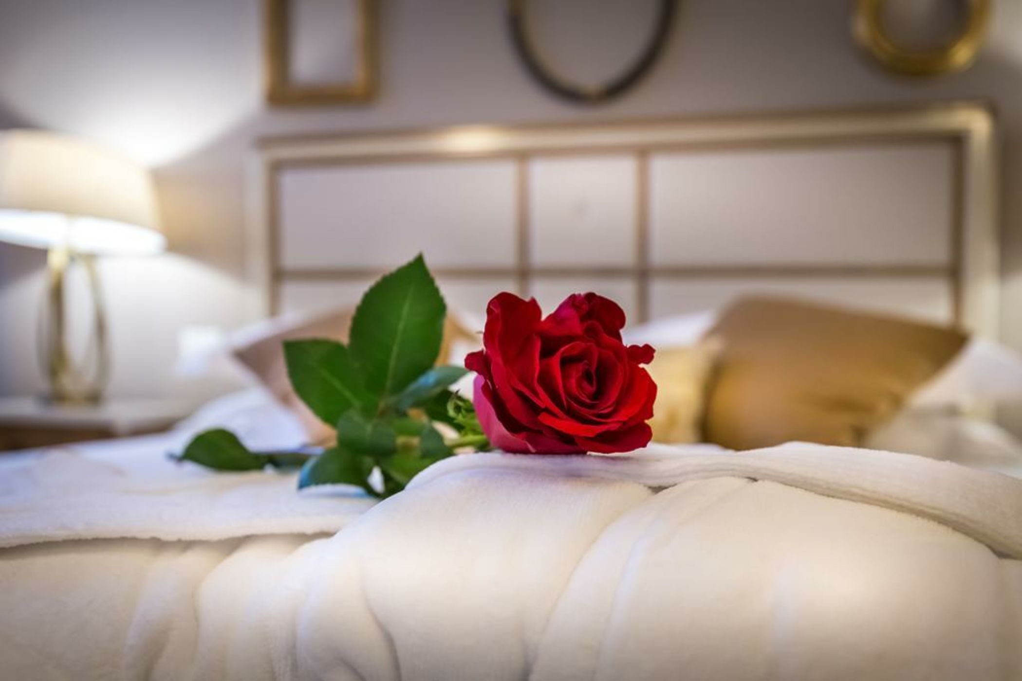 Palazzo Ridolfi - Residenza d'Epoca