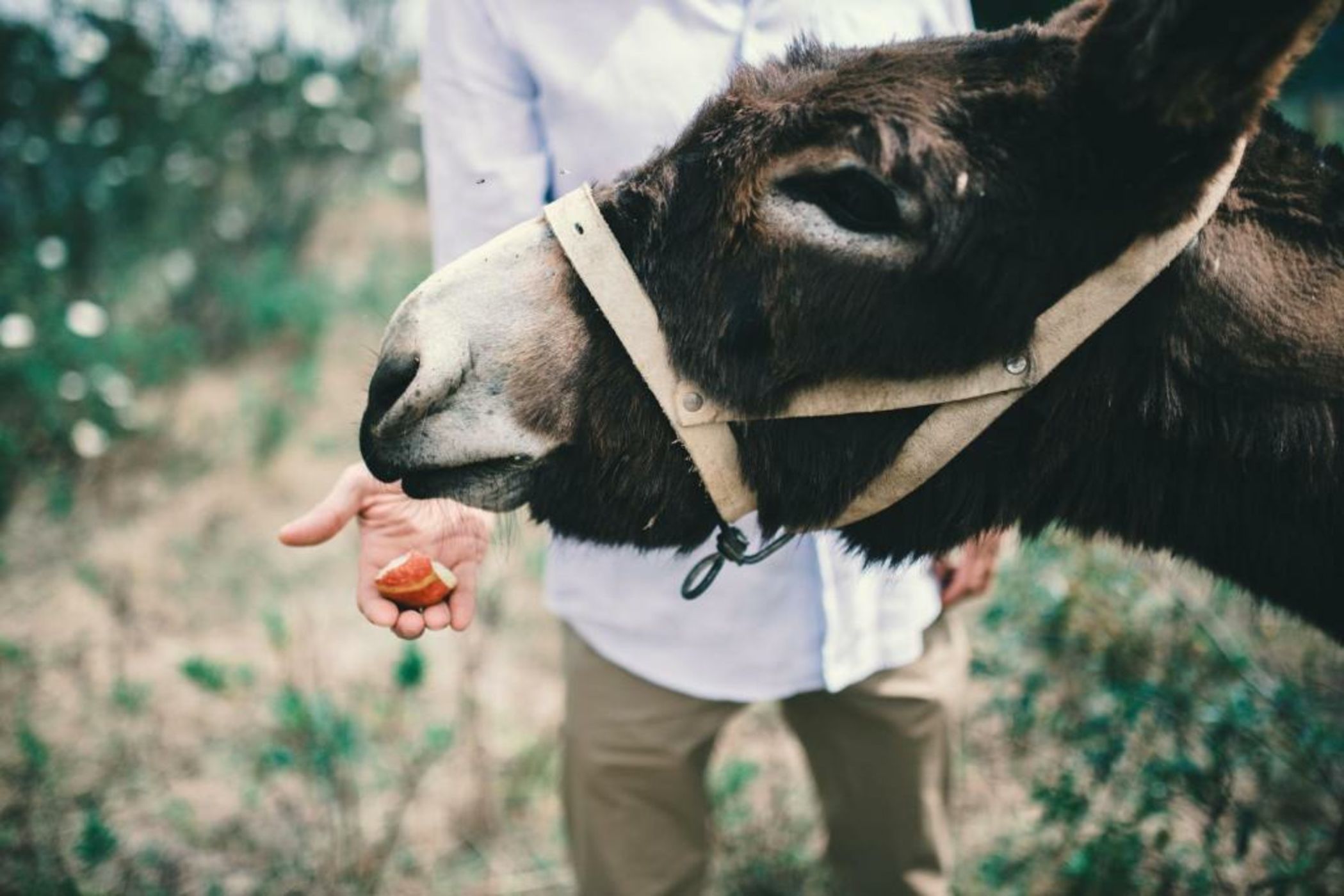 Craveiral Farmhouse by Belong Staying & Feeling