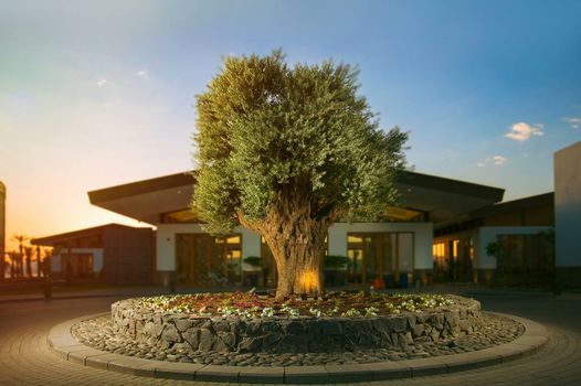 Setai Sea Of Galilee