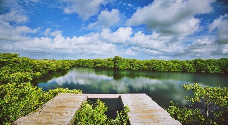 Nativus Glamping & Cenote Tulum