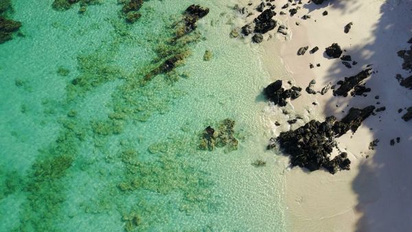 Awei Pila (Mergui Archipelago)