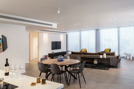 Shenkin Apartments by Master