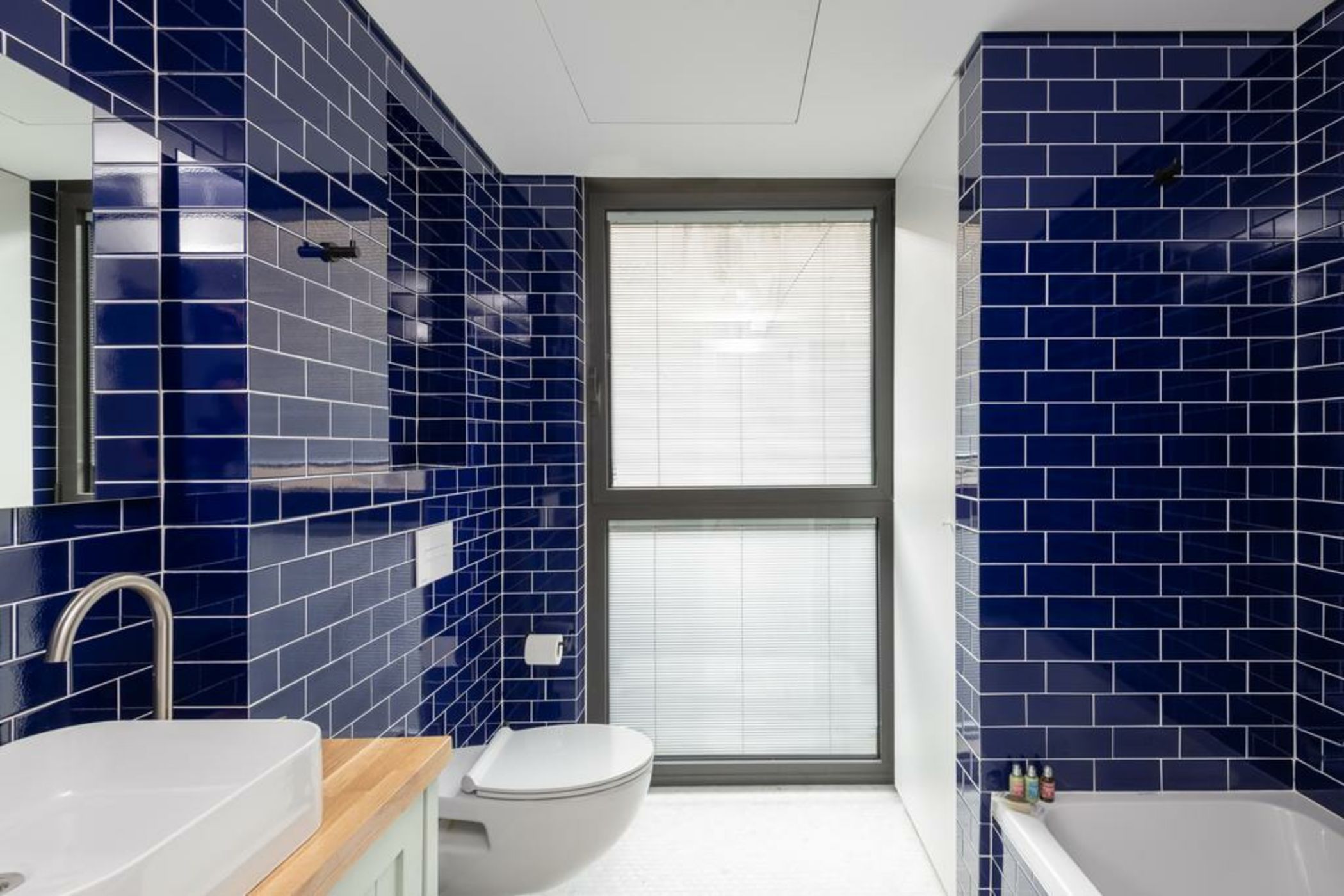 Shenkin Apartments by Master