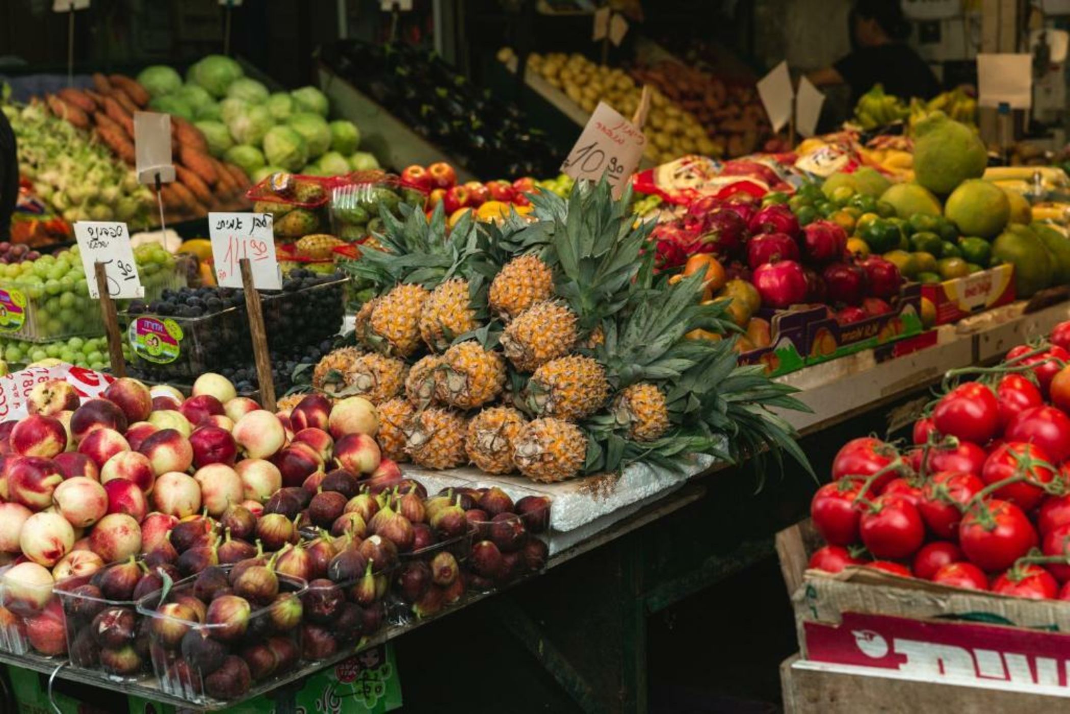 Mr. Carmel - By TLV2GO