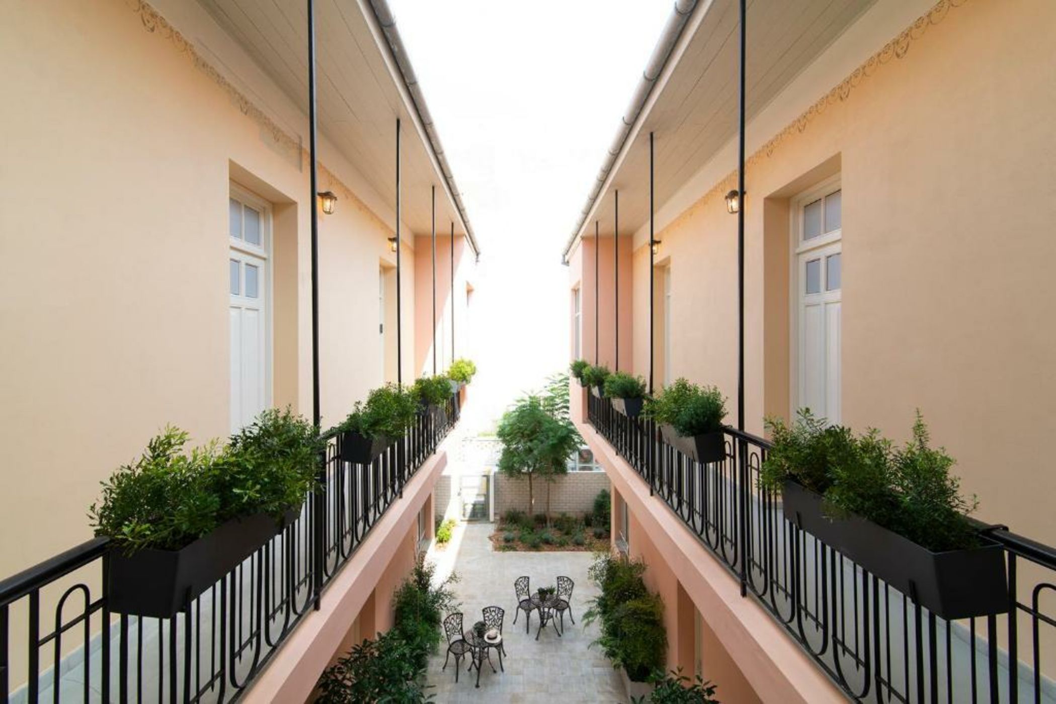 Mr. Carmel - By TLV2GO