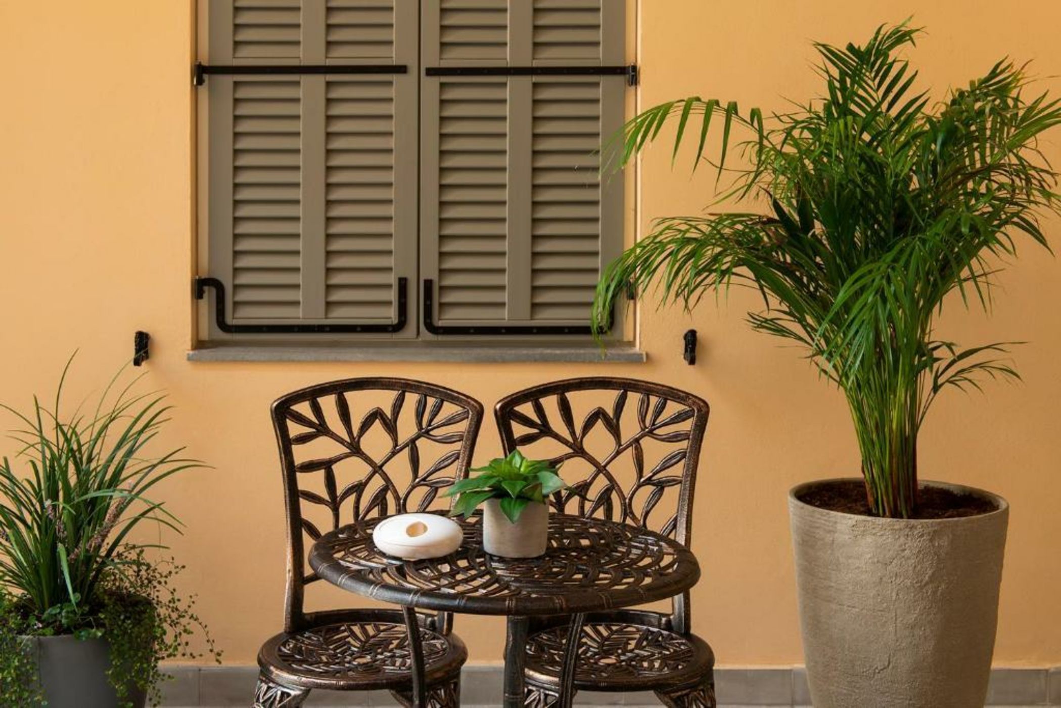 Mr. Carmel - By TLV2GO