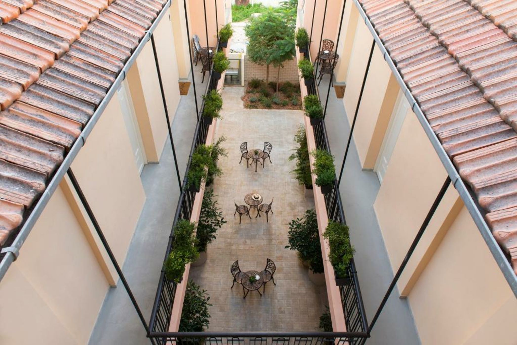 Mr. Carmel - By TLV2GO