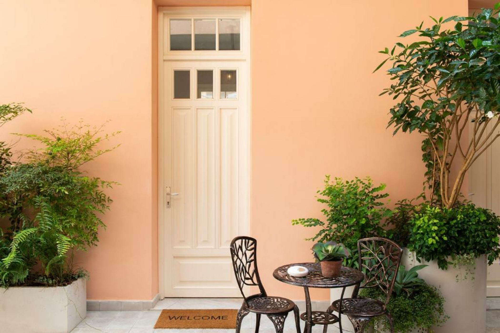 Mr. Carmel - By TLV2GO