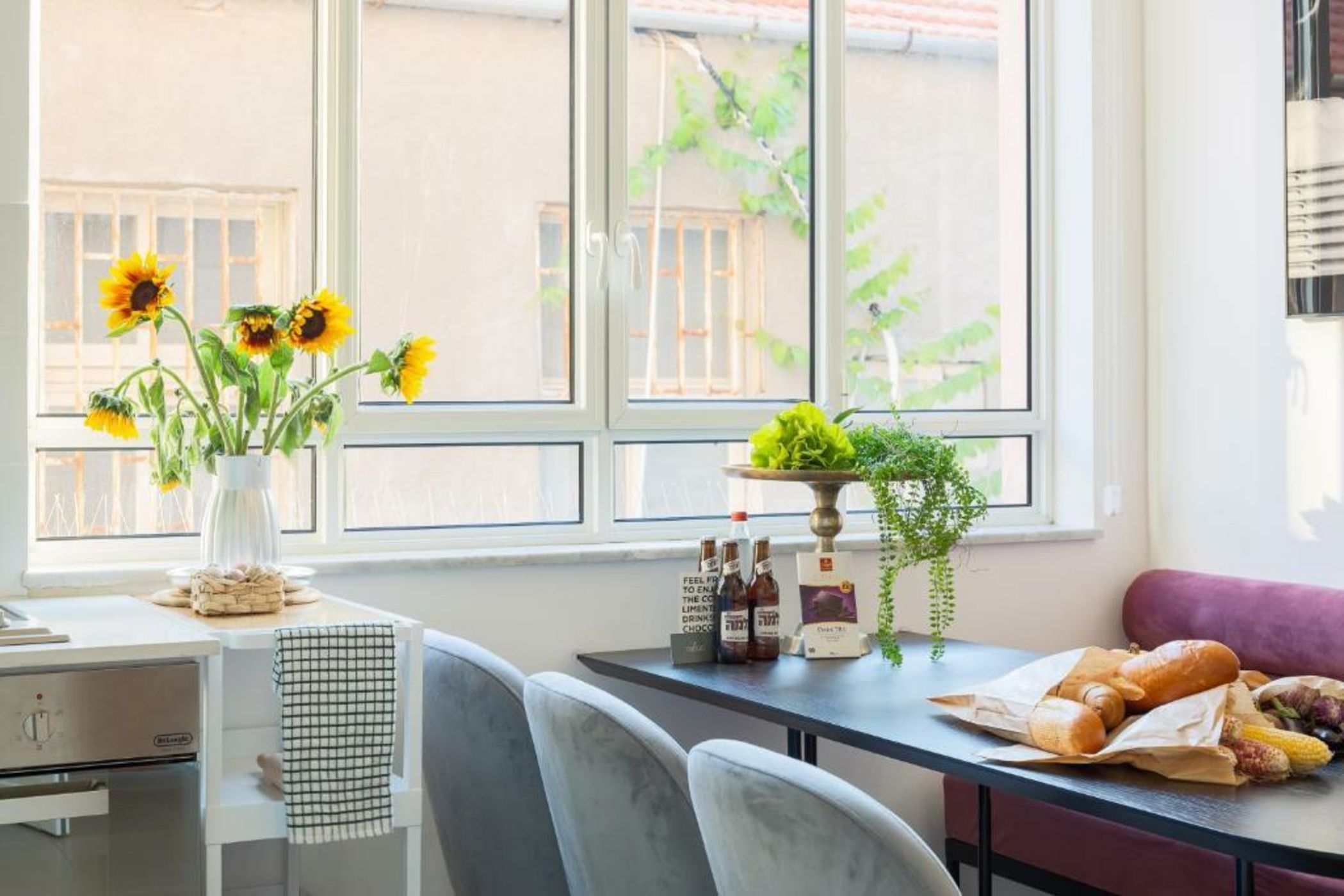 Mr. Carmel - By TLV2GO