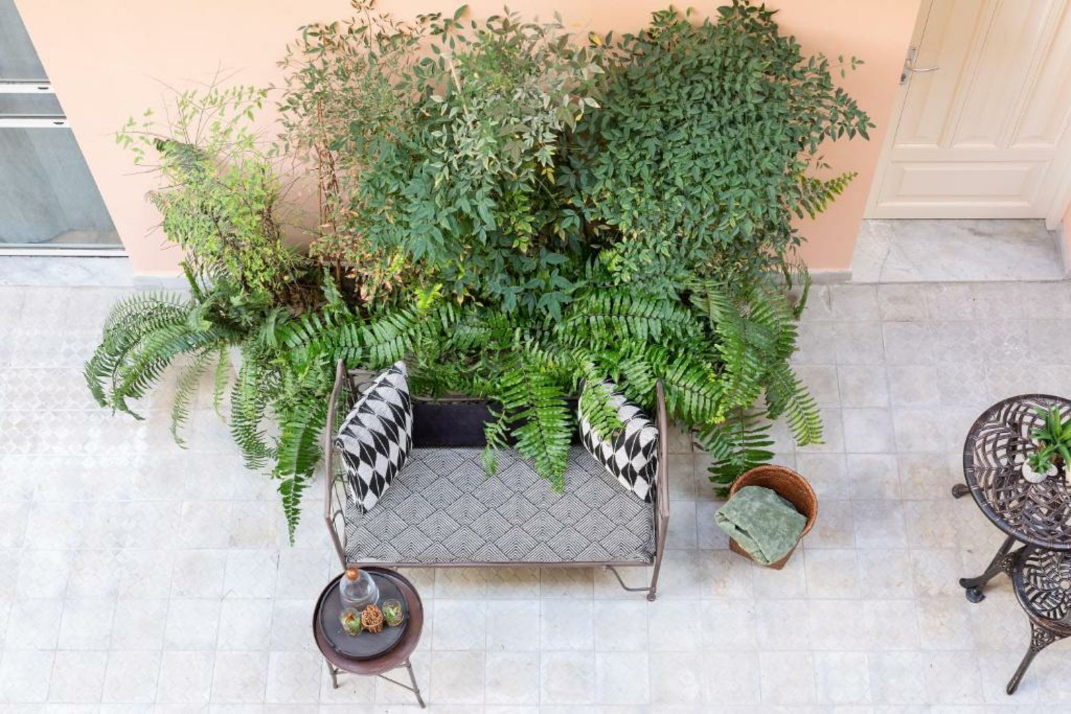 Mr. Carmel - By TLV2GO