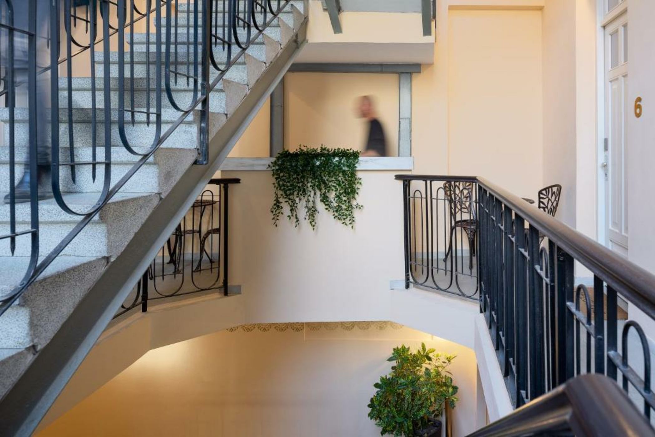 Mr. Carmel - By TLV2GO