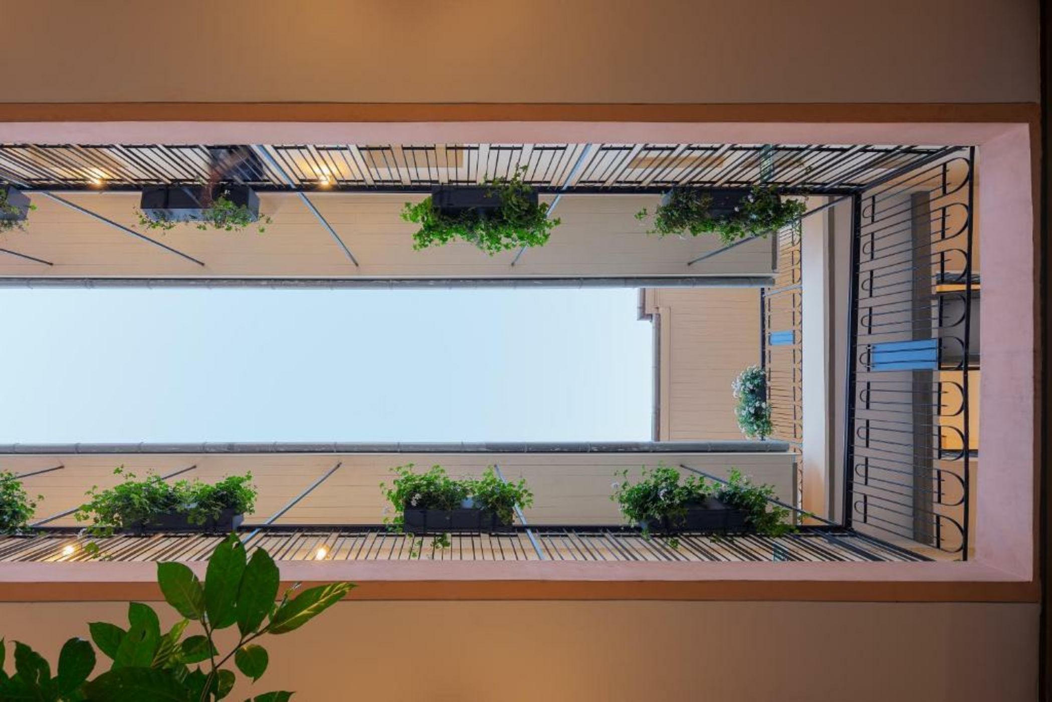 Mr. Carmel - By TLV2GO