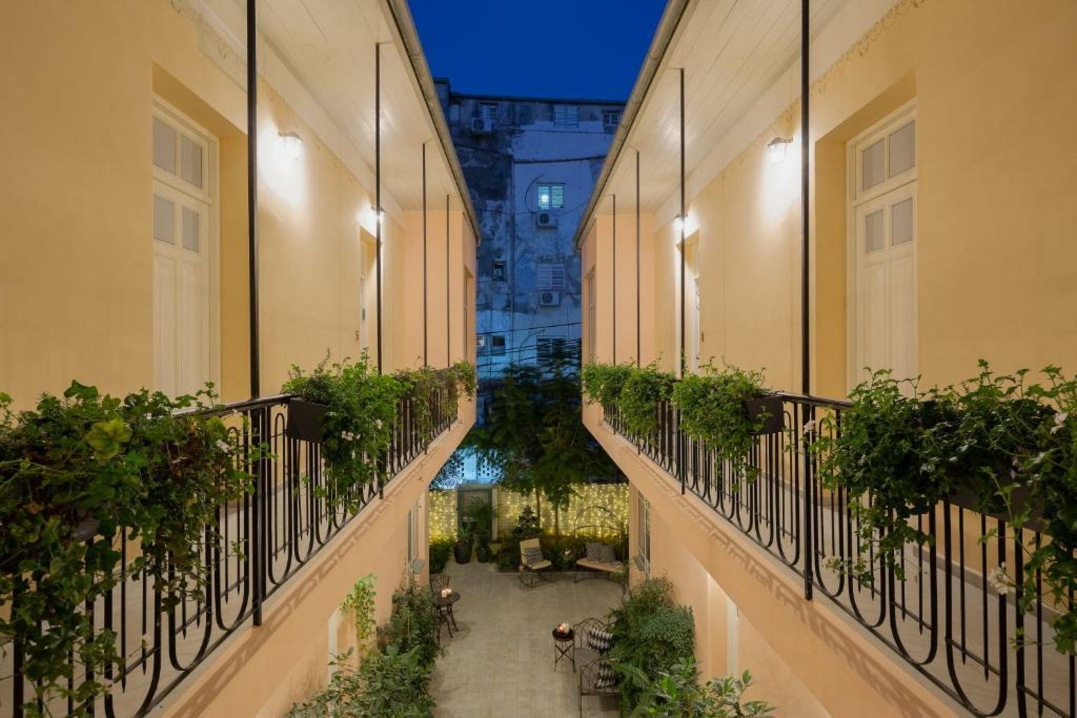 Mr. Carmel - By TLV2GO