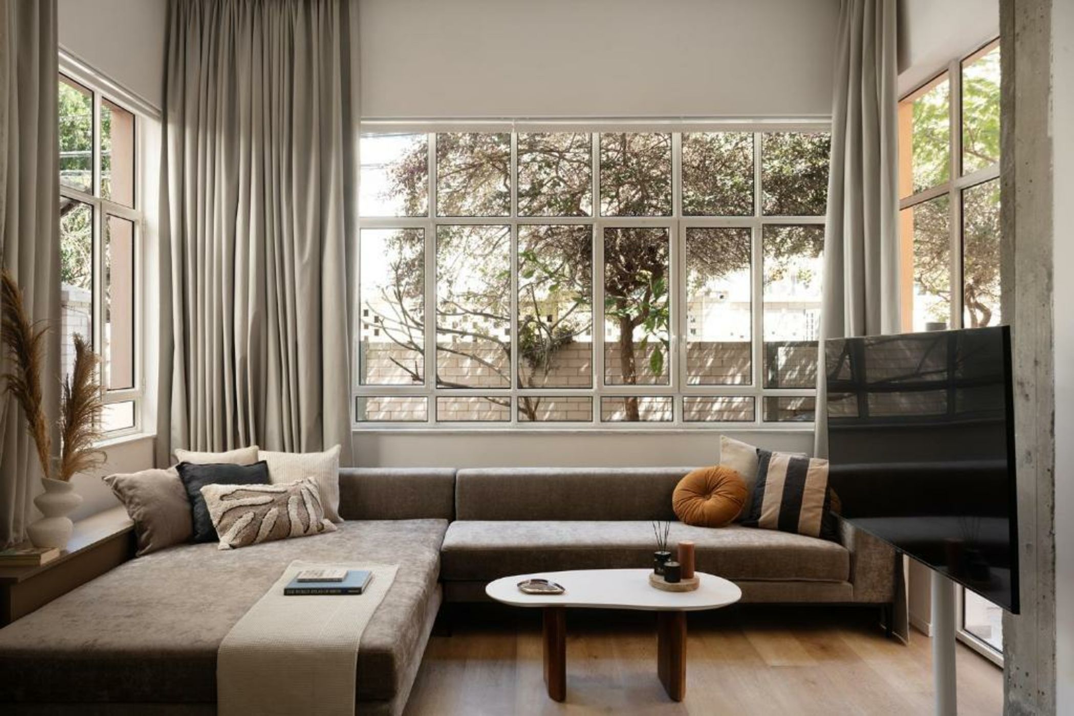 Mr. Carmel - By TLV2GO