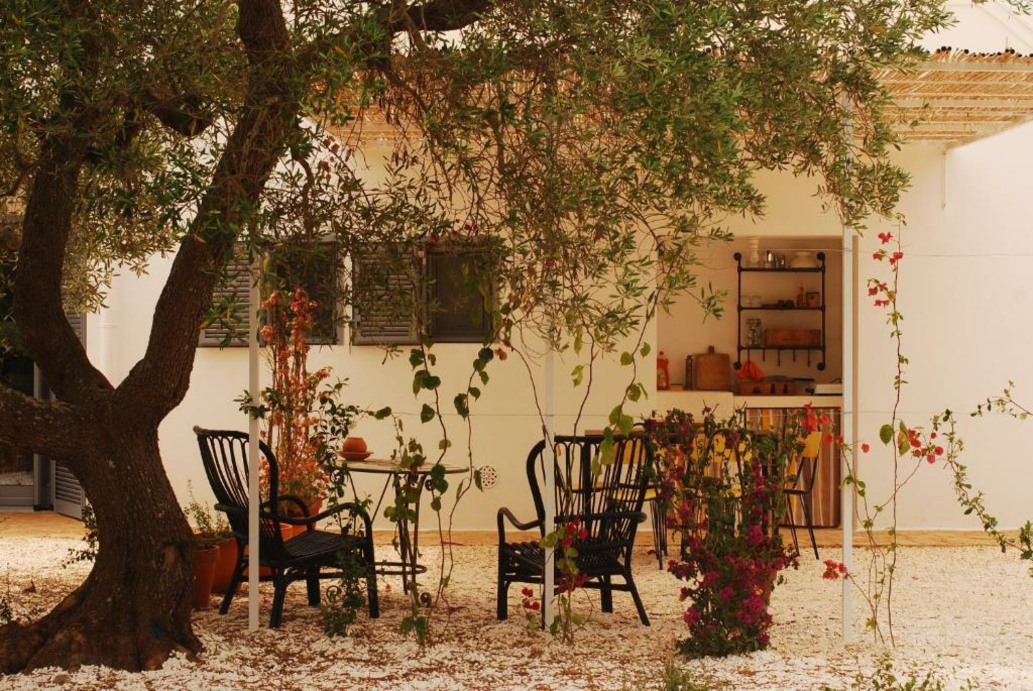 Fikus - the Apulian B&B